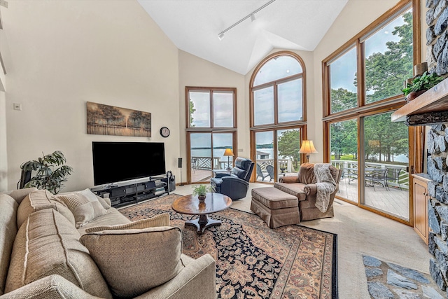 217 Anthony Home Rd, Huddleston, VA 24104 - carpeted living room featuring high vaulted ceiling and track lighting