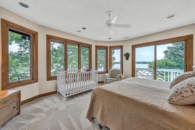 217 Anthony Home Rd, Huddleston, VA 24104 - bedroom with baseboards, multiple windows, light colored carpet, a textured ceiling, and a water view