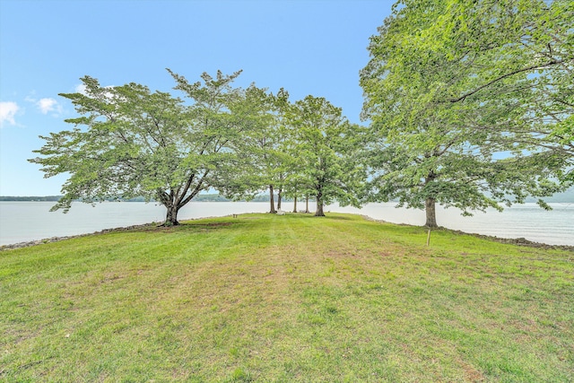 217 Anthony Home Rd, Huddleston, VA 24104 - view of grassy yard with a water view
