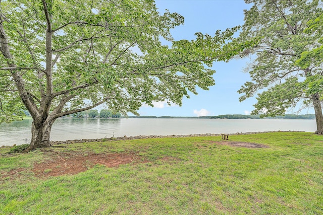 217 Anthony Home Rd, Huddleston, VA 24104 - view of green lawn with a water view