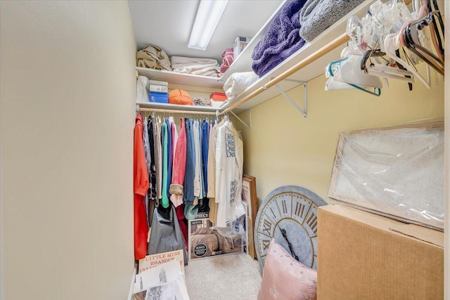 walk in closet with carpet floors