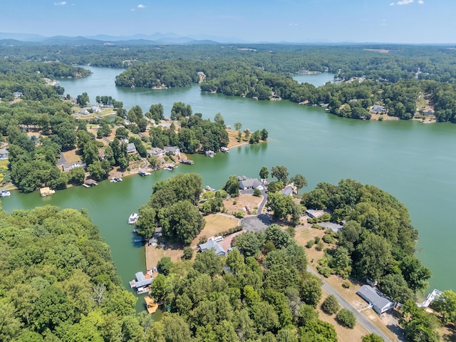 3003 Northridge Rd, Hardy, VA 24101 - bird's eye view of a nearby body of water and a forest
