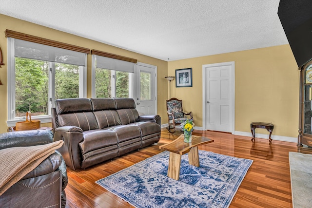 145 W Arrowhead Ct, Troutville, VA 24175 - living area with a textured ceiling, plenty of natural light, wood finished floors, and baseboards