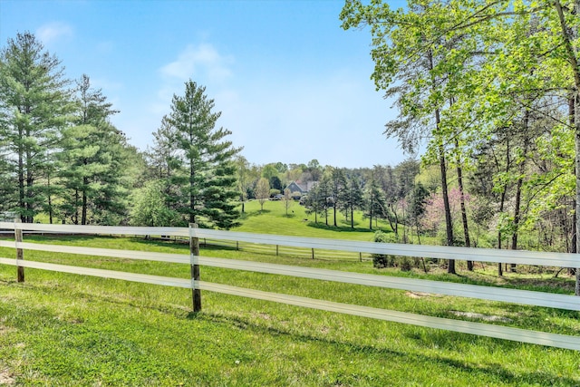 145 W Arrowhead Ct, Troutville, VA 24175 - view of yard