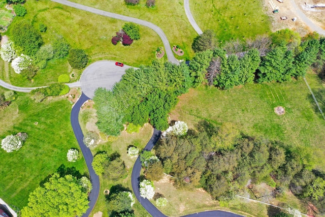 145 W Arrowhead Ct, Troutville, VA 24175 - drone / aerial view