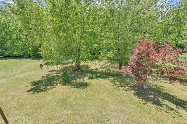 1793 Sandy Level Rd, Goodview, VA 24095 - view of grassy yard
