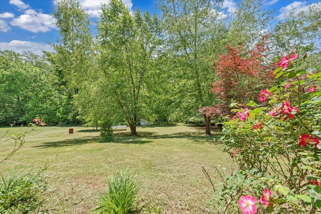 1793 Sandy Level Rd, Goodview, VA 24095 - view of grassy yard