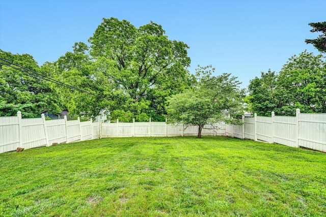 2102 Berkley Ave SW, Roanoke, VA 24015 - view of yard