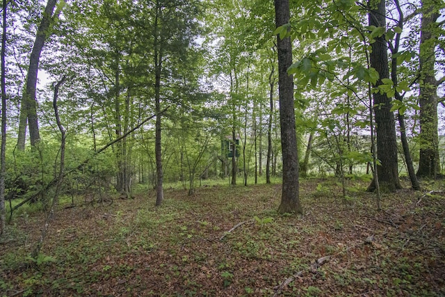 0 Keno Rd, Laurel Fork, VA 24352