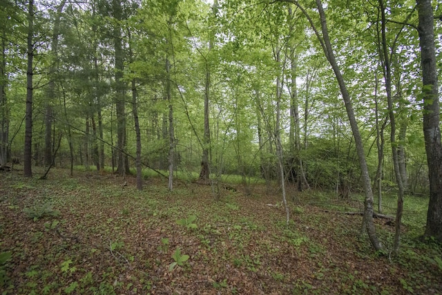 0 Keno Rd, Laurel Fork, VA 24352