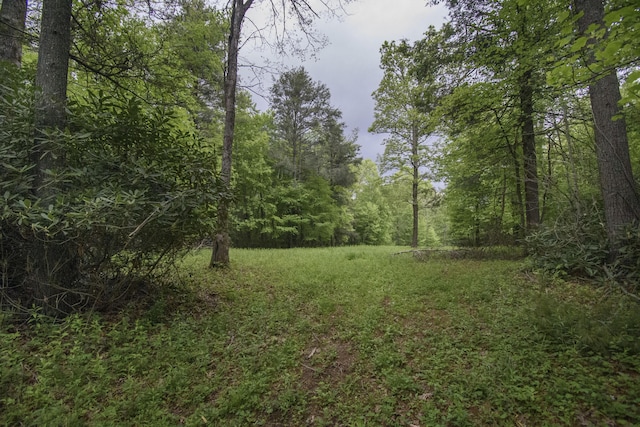 0 Keno Rd, Laurel Fork, VA 24352
