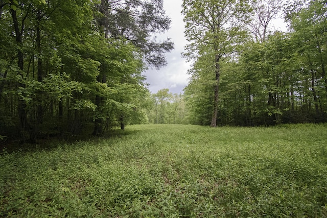 0 Keno Rd, Laurel Fork, VA 24352