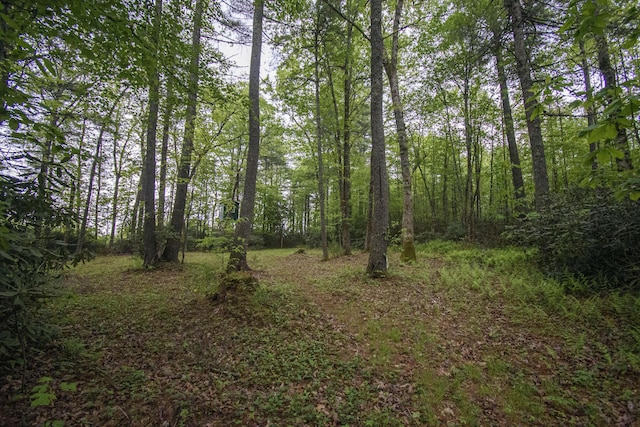 0 Keno Rd, Laurel Fork, VA 24352