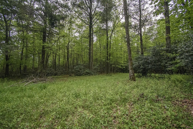 0 Keno Rd, Laurel Fork, VA 24352