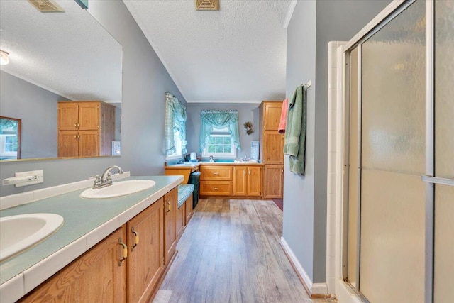 1320 Horseshoe Point Rd, Henry, VA 24102 - bathroom with wood finished floors, a textured ceiling, vaulted ceiling, a stall shower, and double vanity