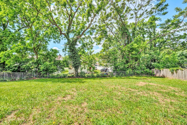 1228 Thomas Ave NW, Roanoke, VA 24017 - view of yard