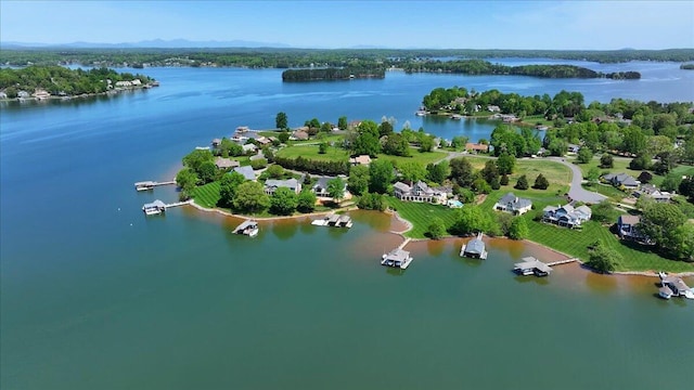 95 Shoreline Cir, Penhook, VA 24137 - bird's eye view of a large body of water
