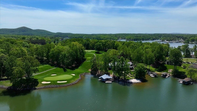 95 Shoreline Cir, Penhook, VA 24137 - aerial view of property and surrounding area with a large body of water, a golf course, and a heavily wooded area