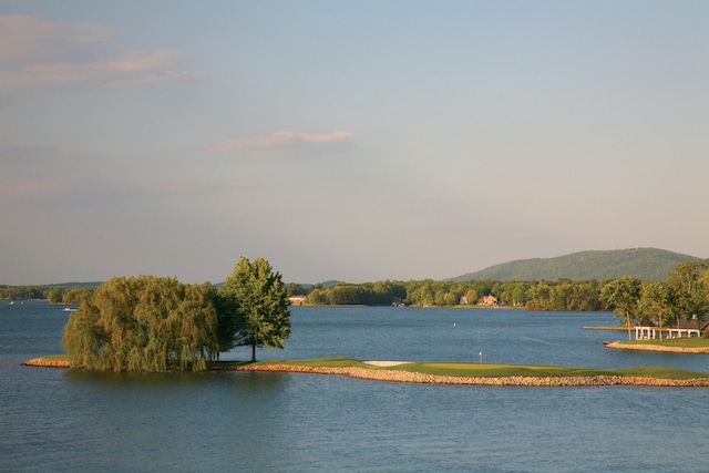 95 Shoreline Cir, Penhook, VA 24137 - water view with a mountainous background