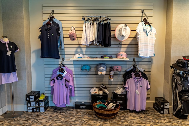 95 Shoreline Cir, Penhook, VA 24137 - view of closet
