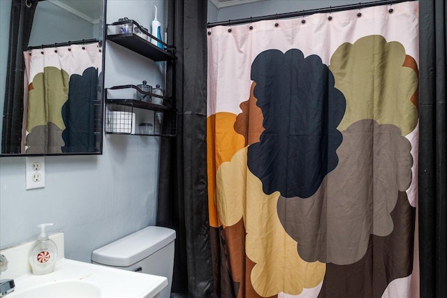 1829 Court St NW, Roanoke, VA 24012 - bathroom featuring ornamental molding, toilet, vanity, and a shower with curtain