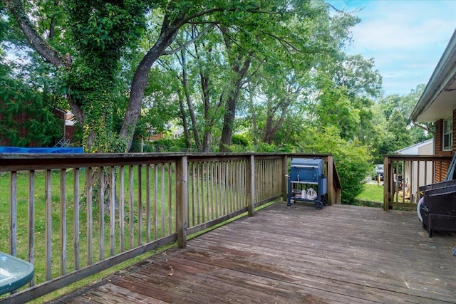 1829 Court St NW, Roanoke, VA 24012 - view of wooden terrace