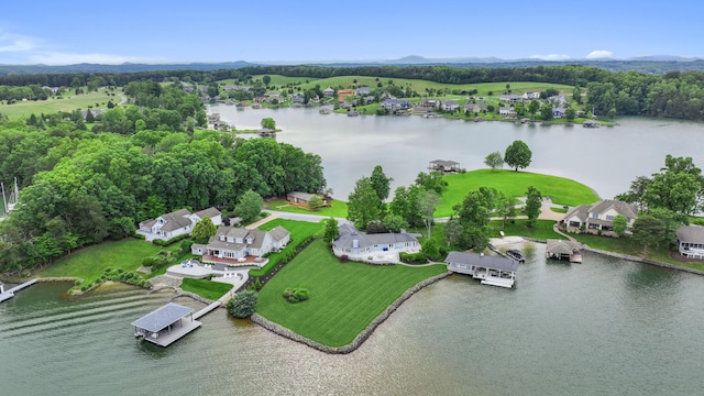 392 Carrs Point Ln, Moneta, VA 24121 - aerial view of residential area featuring a large body of water