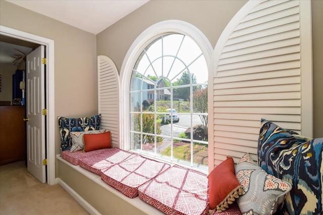 7635 Peebles Ln, Roanoke, VA 24018 - living area featuring carpet, plenty of natural light, and baseboards