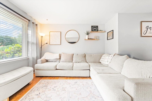 2136 Bainbridge Dr, Salem, VA 24153 - living room with wood finished floors