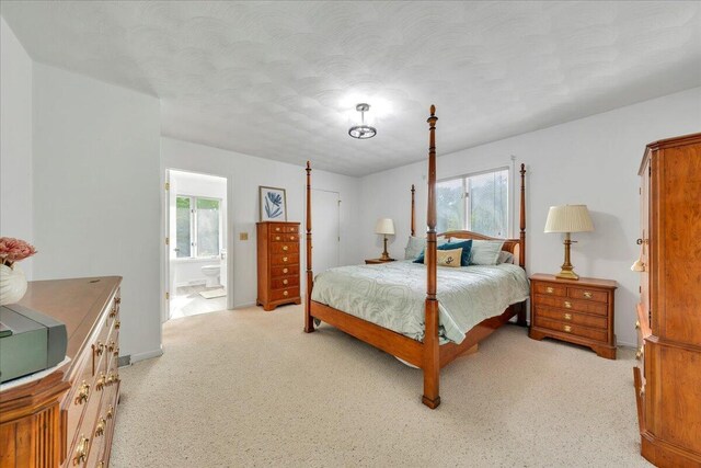 48 Overlook Rd, Hardy, VA 24101 - bedroom featuring multiple windows, light carpet, connected bathroom, and baseboards