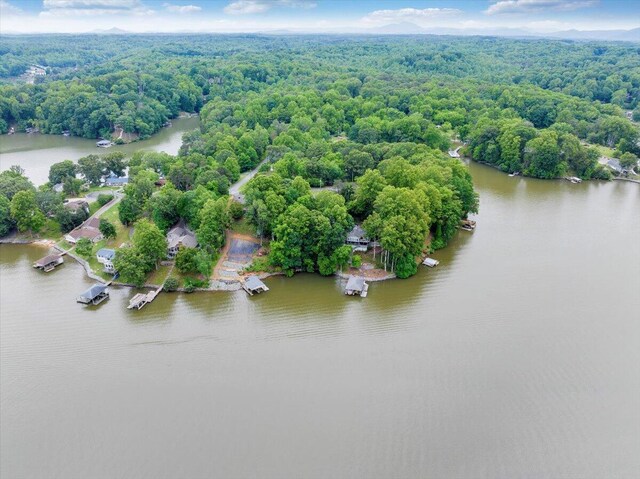 48 Overlook Rd, Hardy, VA 24101 - aerial view of a heavily wooded area and a nearby body of water