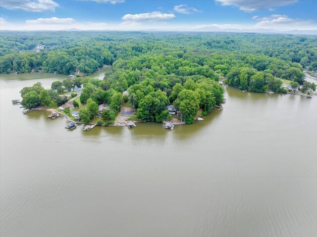 48 Overlook Rd, Hardy, VA 24101 - bird's eye view of a forest and a nearby body of water