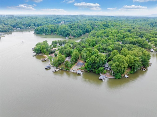 48 Overlook Rd, Hardy, VA 24101 - bird's eye view of a forest and a large body of water