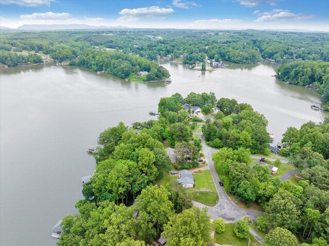 48 Overlook Rd, Hardy, VA 24101 - bird's eye view of a large body of water and a heavily wooded area