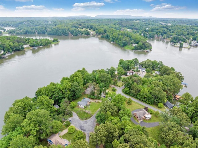 48 Overlook Rd, Hardy, VA 24101 - bird's eye view of a nearby body of water and a forest