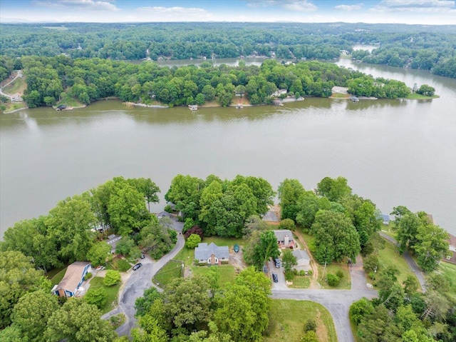 48 Overlook Rd, Hardy, VA 24101 - view of property location with a nearby body of water and a heavily wooded area