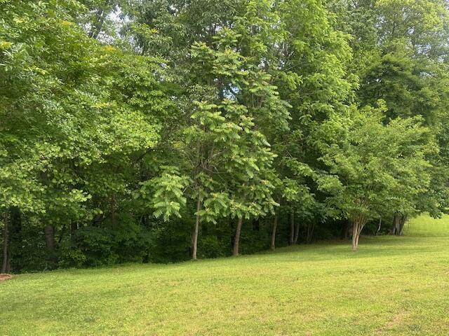 586 Graceland Dr, Bassett, VA 24055 - view of grassy yard featuring a view of trees
