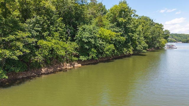 TBD Acres Court, Lynch Station, VA 24571