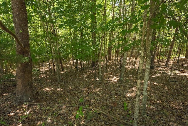 TBD Acres Court, Lynch Station, VA 24571