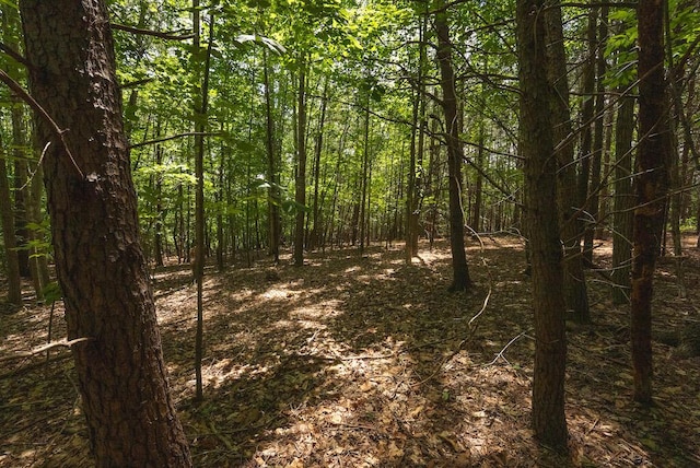 TBD Acres Court, Lynch Station, VA 24571