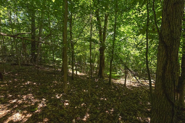 TBD Acres Court, Lynch Station, VA 24571