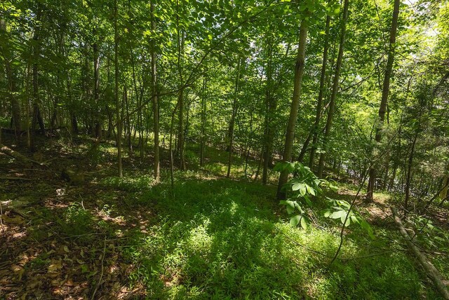 TBD Acres Court, Lynch Station, VA 24571