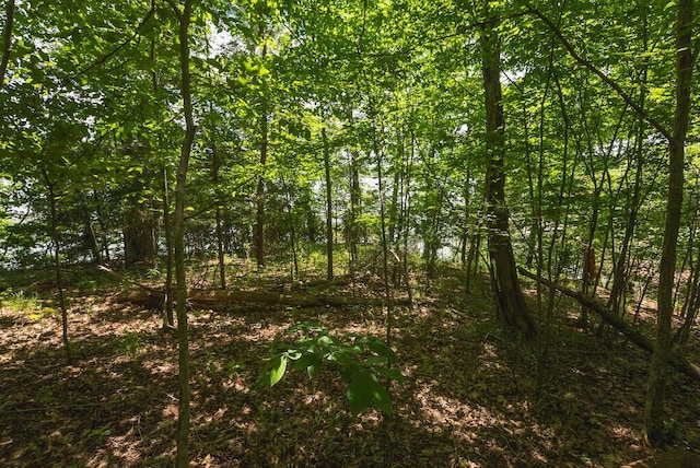 TBD Acres Court, Lynch Station, VA 24571