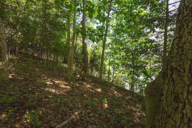 TBD Acres Court, Lynch Station, VA 24571