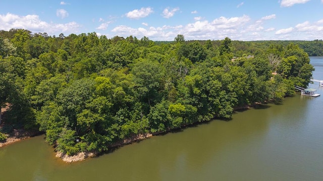 TBD Acres Court, Lynch Station, VA 24571