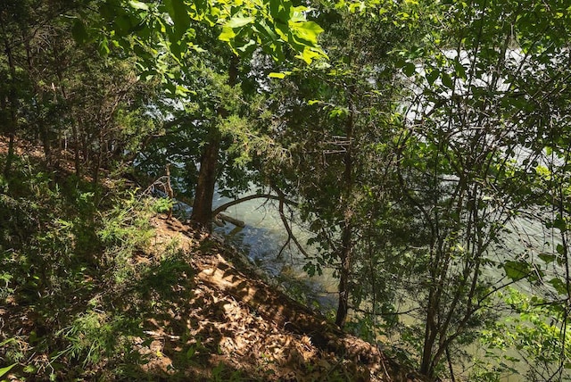 TBD Acres Court, Lynch Station, VA 24571