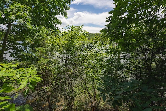 TBD Acres Court, Lynch Station, VA 24571