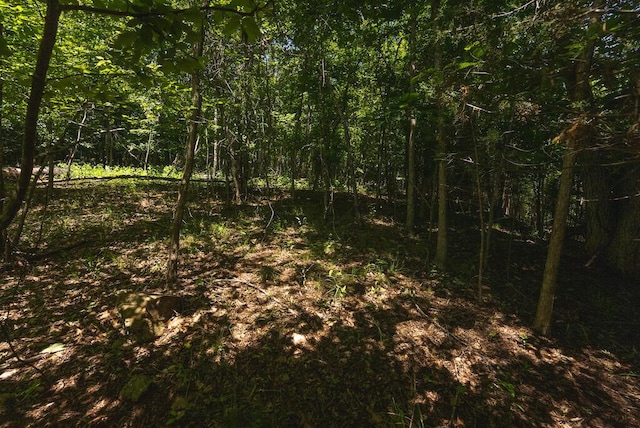 TBD Acres Court, Lynch Station, VA 24571