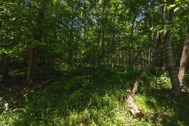 TBD Acres Court, Lynch Station, VA 24571
