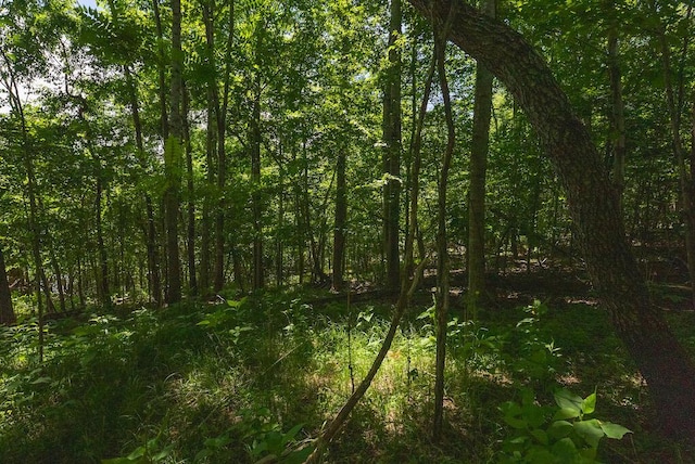 TBD Acres Court, Lynch Station, VA 24571
